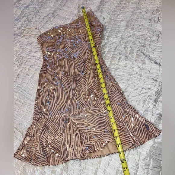 NWT ๐HOST PICK๐ Hello Molly sequin Dress sz L๐ฅณ๐ - Picture 11 of 16